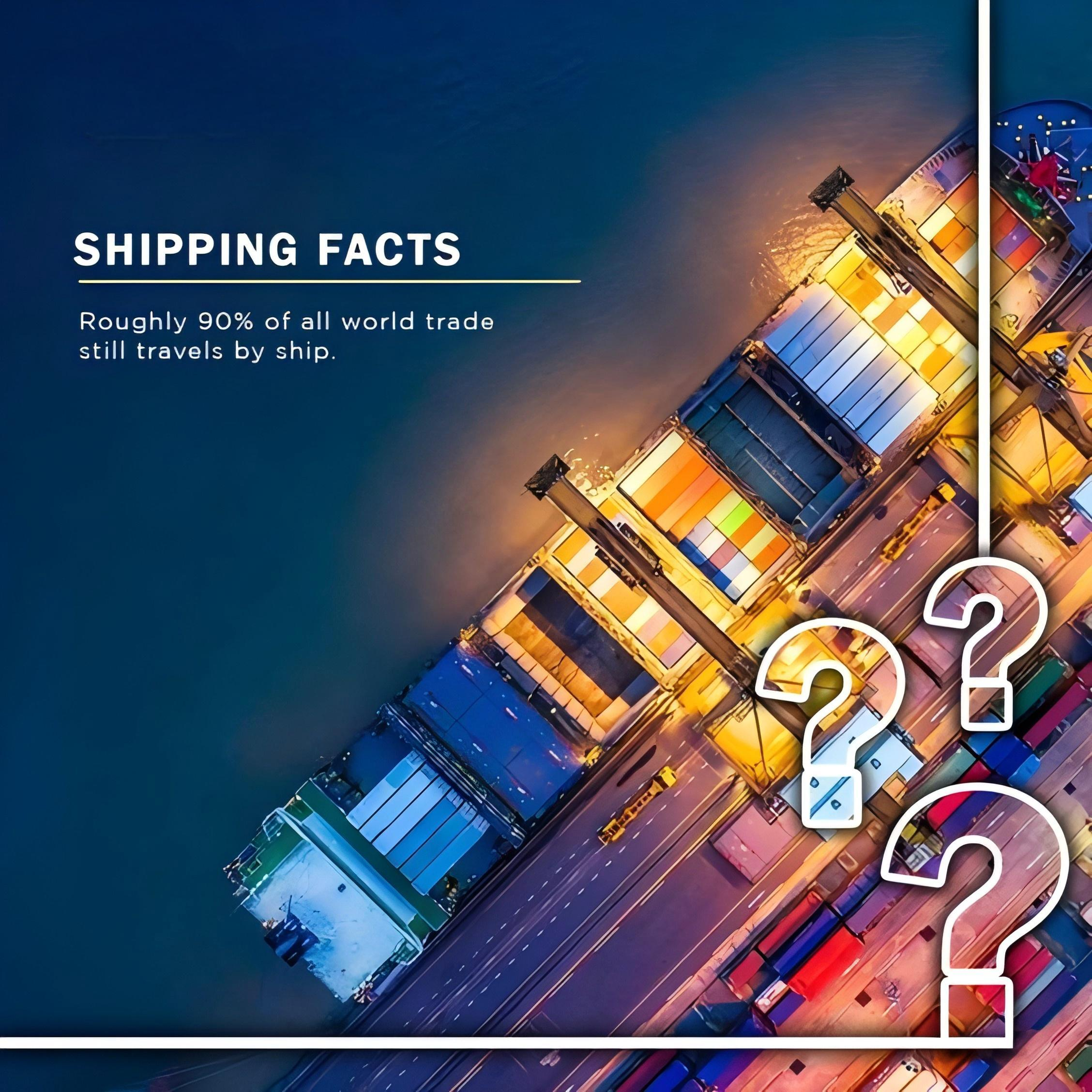 Logistics professional reviewing shipping documents for French customs