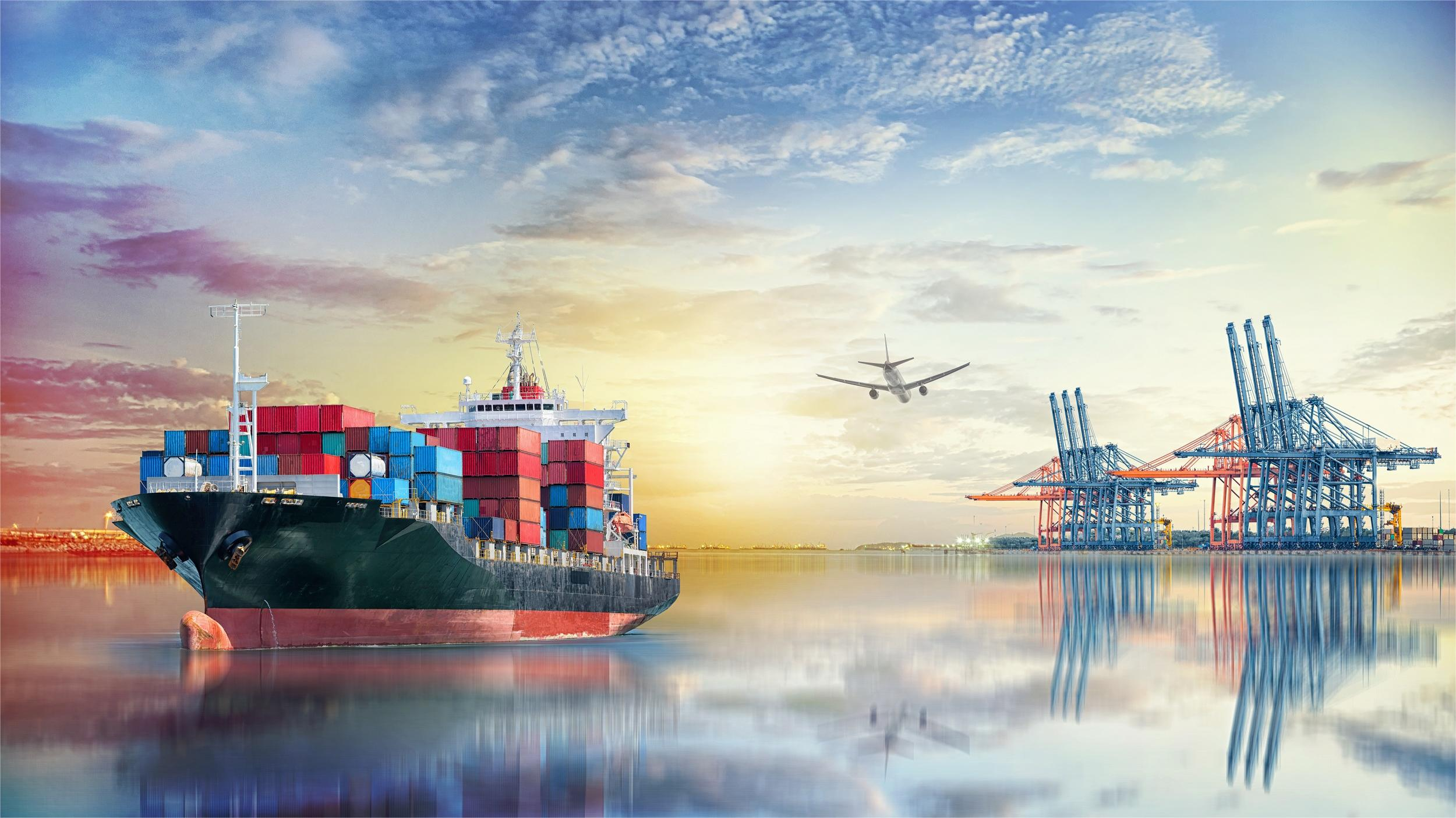 Logistics professional checking customs documentation for sea freight